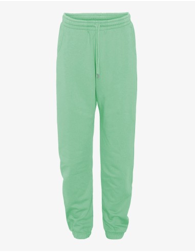 Organic Sweatpants - Seafoam Green online