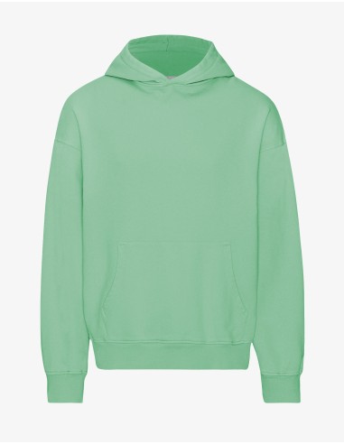 Organic Oversized Hood - Seafoam Green est présent 